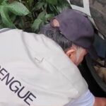 DENGUE: EL SEROTIPO 2, QUE CAUSA CASOS MAS GRAVES, CIRCULA EN SANTA CRUZ